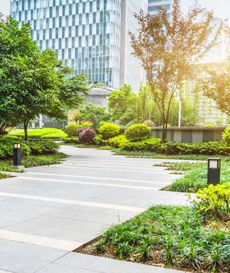 Top Choice Lawn Maintenance And Landscaping, LLC Commercial Landscaping