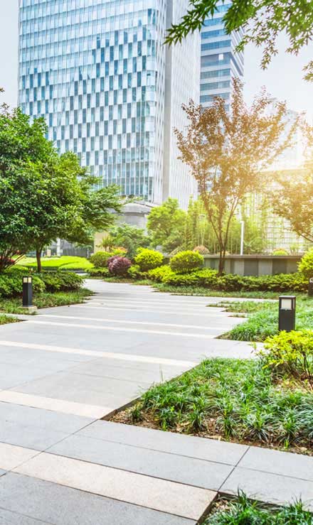 Top Choice Lawn Maintenance And Landscaping, LLC Commercial Landscaping