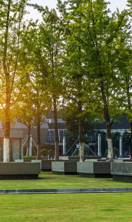 Top Choice Lawn Maintenance And Landscaping, LLC Commercial Lawn Care