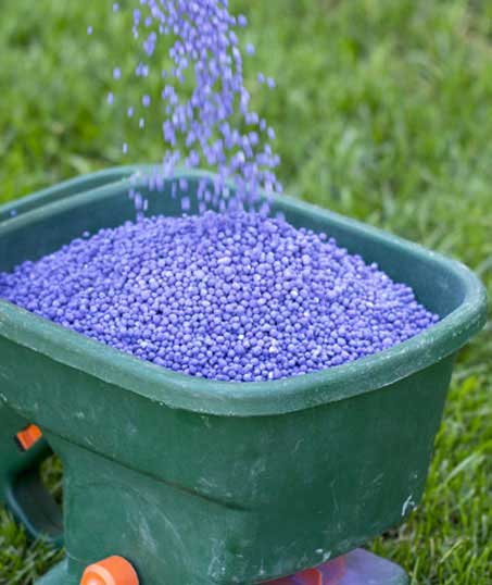 Top Choice Lawn Maintenance And Landscaping, LLC Lawn Fertilization