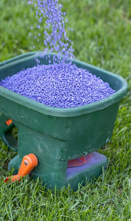 Top Choice Lawn Maintenance And Landscaping, LLC  Lawn Fertilization