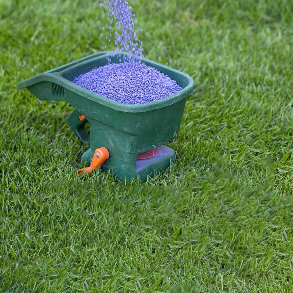 Lawn Fertilization Service