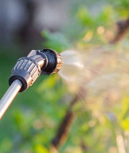 Top Choice Lawn Maintenance And Landscaping, LLC Lawn Pest Control