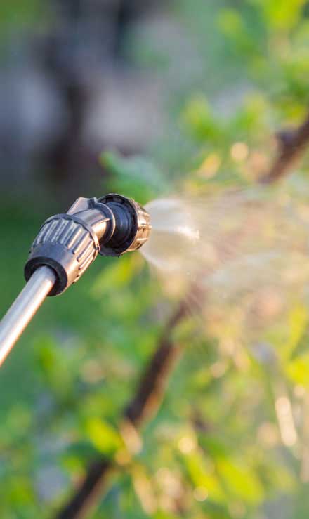 Top Choice Lawn Maintenance And Landscaping, LLC Lawn Pest Control