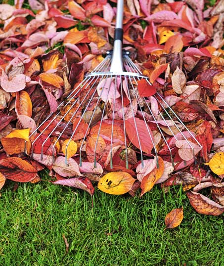 Top Choice Lawn Maintenance And Landscaping, LLC Fall Clean Up
