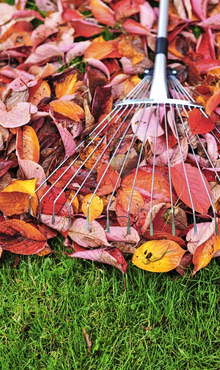 Top Choice Lawn Maintenance And Landscaping, LLC Fall Clean Up