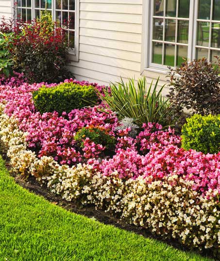 Top Choice Lawn Maintenance And Landscaping, LLC Garden Design