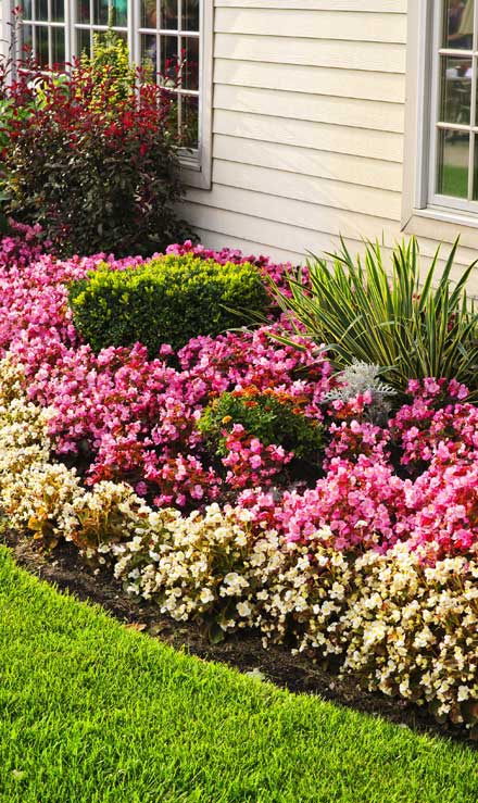 Top Choice Lawn Maintenance And Landscaping, LLC Garden Design