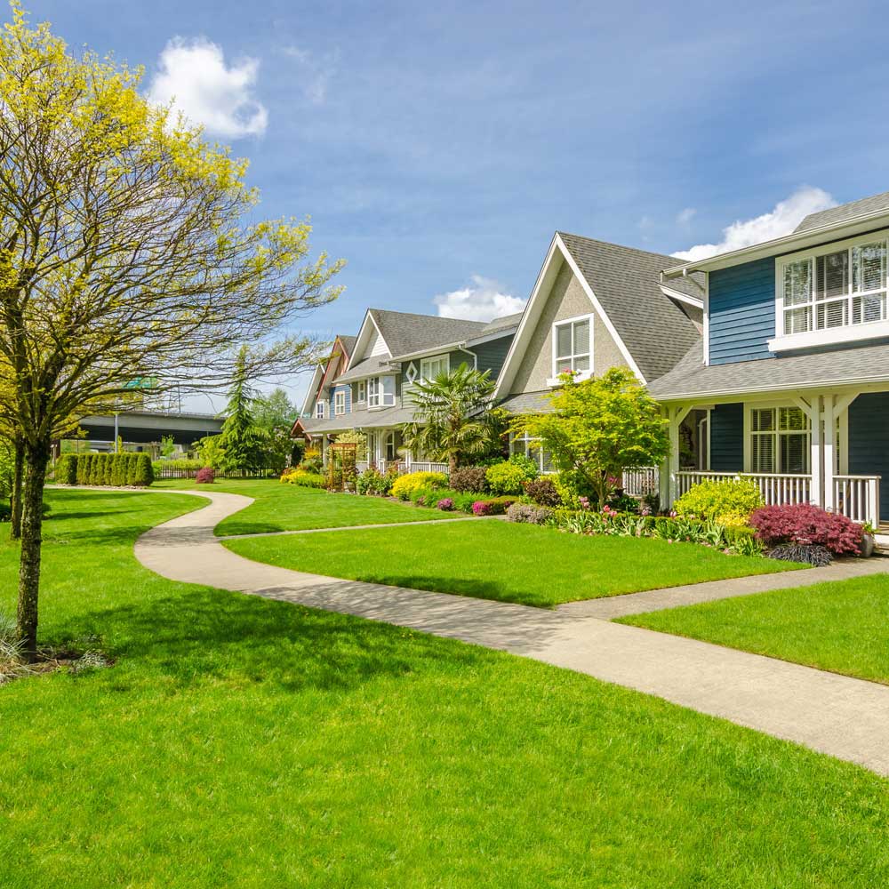 Residential Lawn Care Service