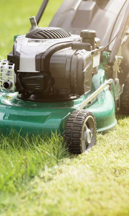 Top Choice Lawn Maintenance And Landscaping, LLC Residential Lawn Mowing