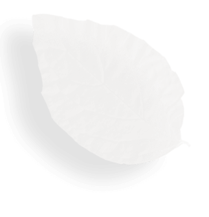 Top Choice Lawn Maintenance And Landscaping, LLC Landscaping Services